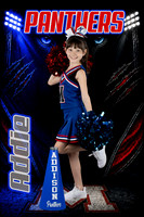 9U Platinum Panthers Cheer Posters