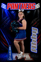 Panther Elite Posters