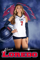 Life Varsity Posters