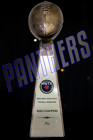 3_panthers
