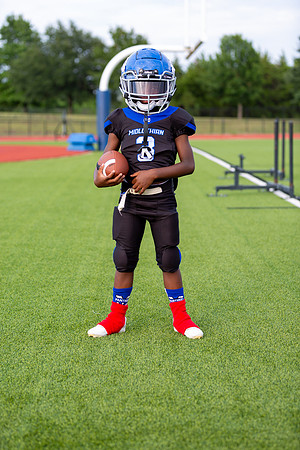 Midlo Panther 7U LR Poster-3493