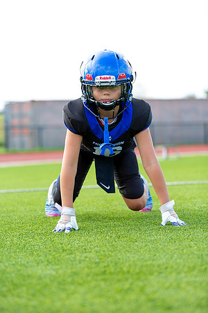Midlo Panther LR Poster-3357