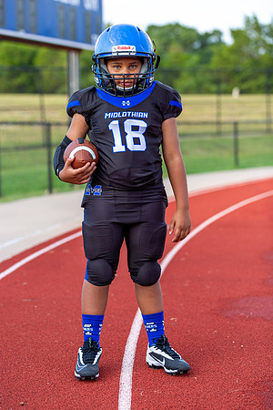 Midlo Panther 7U LR Poster-3581