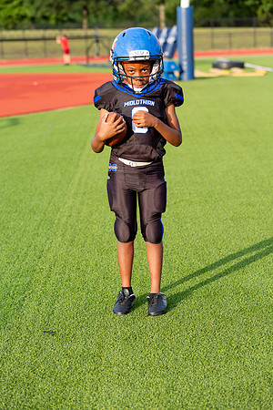 Midlo Panther 7U LR Poster-3527