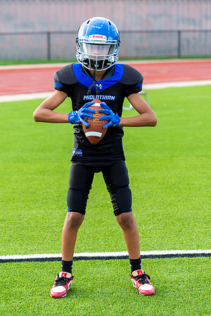 Midlo Panther LR Poster-3441