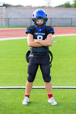 Midlo Panther LR Poster-3328