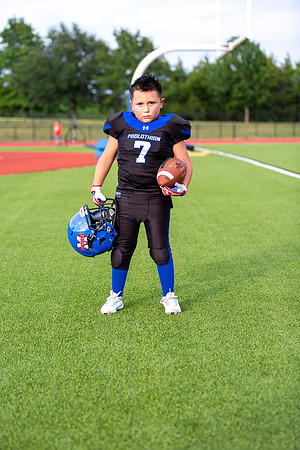Midlo Panther 7U LR Poster-3515