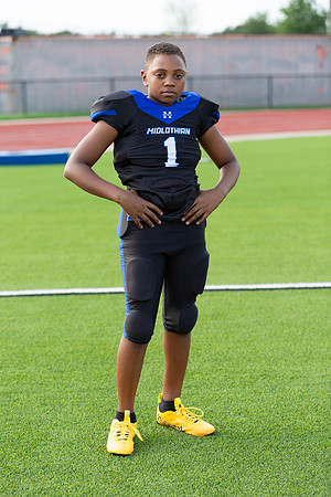 Midlo Panther LR Poster-3313