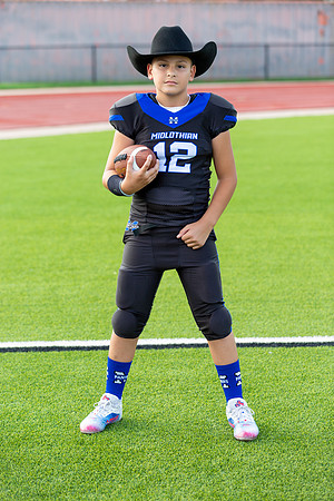 Midlo Panther LR Poster-3341