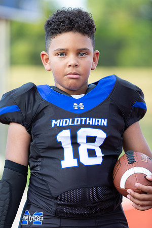 Midlo Panther 7U LR Poster-3576