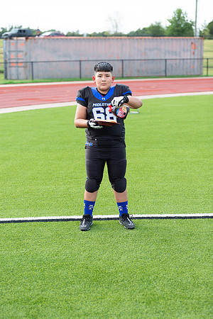 Midlo Panther LR Poster-3421