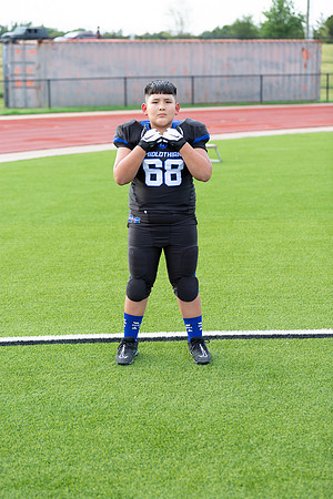 Midlo Panther LR Poster-3427