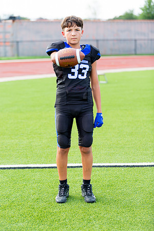 Midlo Panther LR Poster-3382
