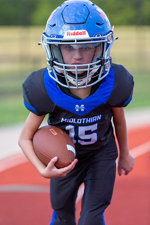 Midlo Panther 7U LR Poster-3565