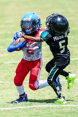 MidloPanthers-136