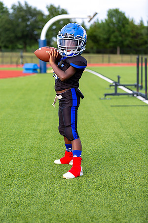 Midlo Panther 7U LR Poster-3490