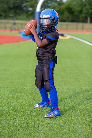 Midlo Panther 7U LR Poster-3511