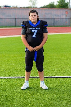 Midlo Panther LR Poster-3325