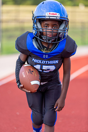 Midlo Panther 7U LR Poster-3573