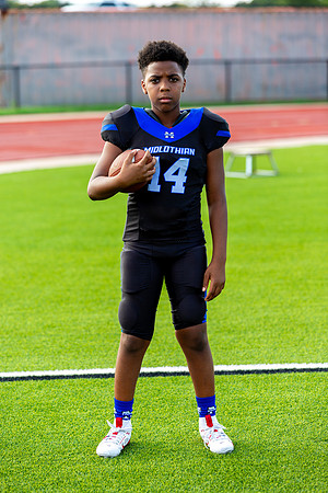 Midlo Panther LR Poster-3347