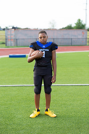 Midlo Panther LR Poster-3308