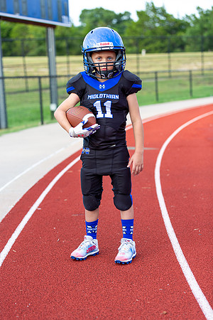 Midlo Panther 7U LR Poster-3551