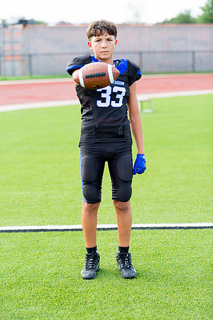 Midlo Panther LR Poster-3383
