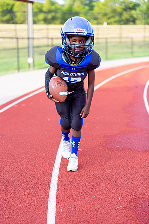 Midlo Panther 7U LR Poster-3574