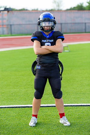 Midlo Panther LR Poster-3327
