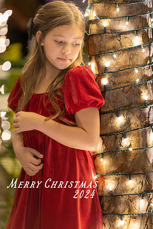 IMG_1961-Enhanced-NRMerry Christmas