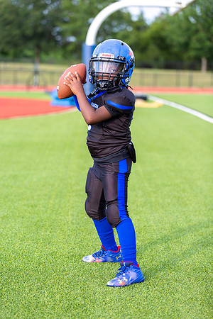 Midlo Panther 7U LR Poster-3509