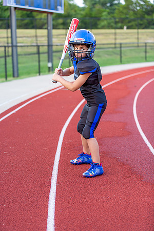 Midlo Panther 7U LR Poster-3637