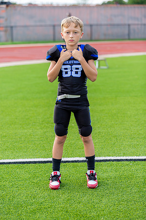 Midlo Panther LR Poster-3438